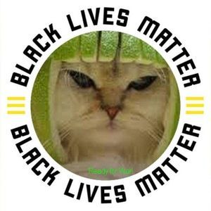 Meet your Posher, Susie